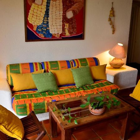 Las Palmas - Palma Xiat & Cocoyol Playa del Carmen Zewnętrze zdjęcie