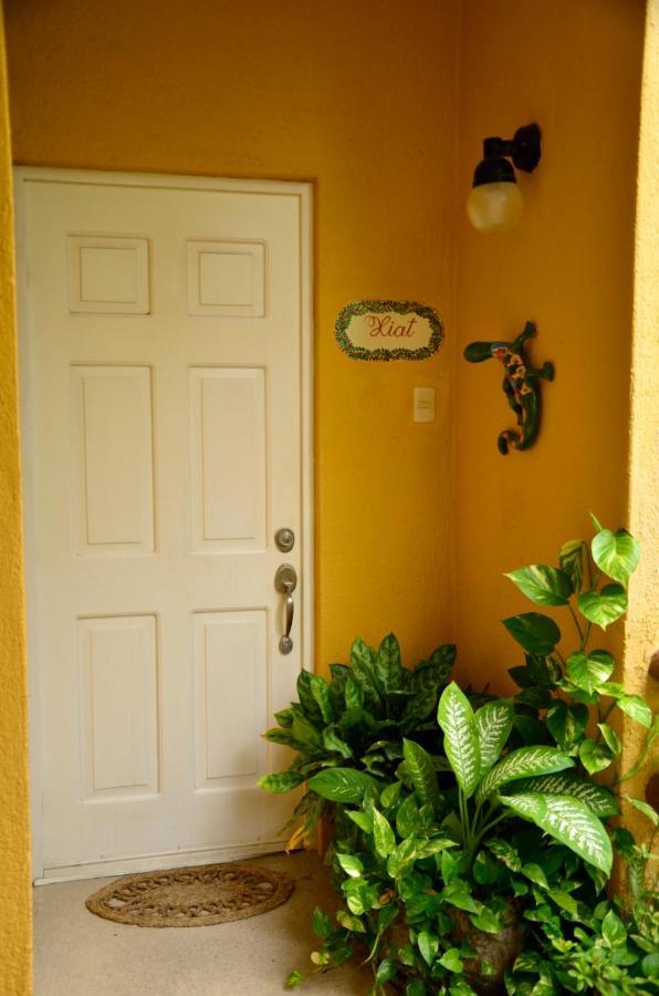 Las Palmas - Palma Xiat & Cocoyol Playa del Carmen Zewnętrze zdjęcie